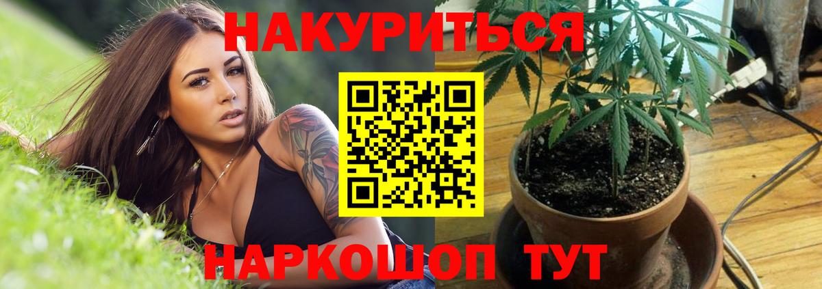 Канабис Ganja  Вход с VPN  Минеральные Воды  Бошки марихуана VHQ  Бошки марихуана индика 